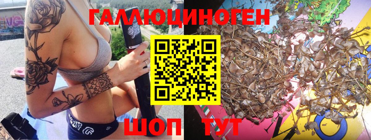 Сегежа  Галлюциногенные грибы MAGIC MUSHROOMS  Вход с VPN 