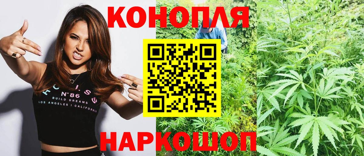 Каннабис планчик  Вход с VPN  Сегежа  Канабис планчик  Конопля THC 21% 
